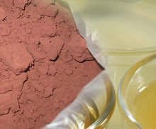 Animal By-products - tallow and meal