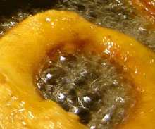 Used Cooking Oil (UCO)